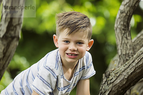 Kleiner Junge klettert auf einen Baum und lächelt in die Kamera  während er Zeit in einem Park verbringt; Edmonton  Alberta  Kanada