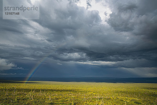 Regenbogen durch die Gewitterwolken auf ein darunter liegendes Feld während eines Sommergewitters  in der Nähe von Old Crow; Yukon  Kanada