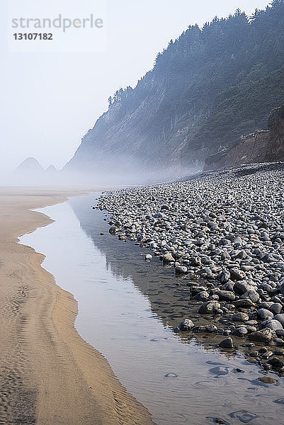 Ebbe und Nebel am Arch Cape Beach; Arch Cape  Oregon  Vereinigte Staaten von Amerika