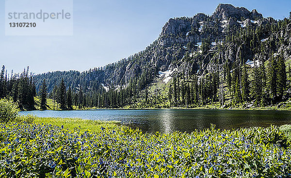 Ruhiger Alpensee mit blühenden Wildblumen im Vordergrund und einem schroffen Berg im Hintergrund; Utah  Vereinigte Staaten von Amerika