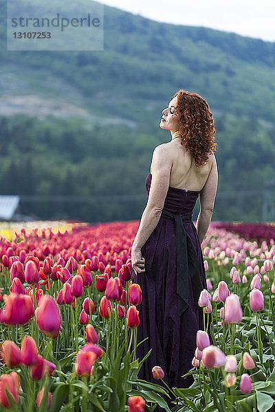 Eine Frau in einem formellen Kleid steht in einem Tulpenfeld; Abbotsford  British Columbia  Kanada