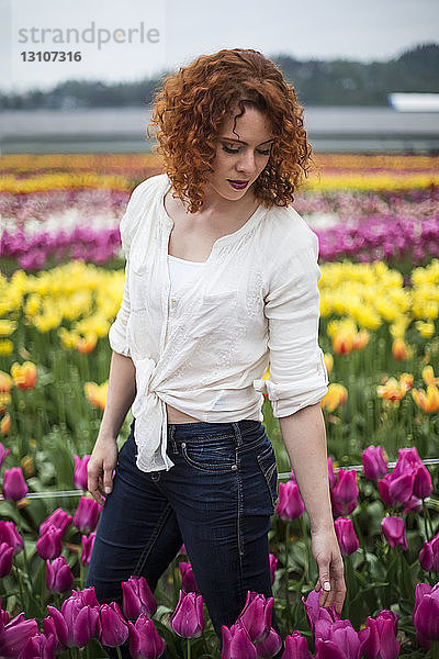 Eine Frau mit roten Haaren steht in einem Tulpenfeld; Abbotsford  British Columbia  Kanada