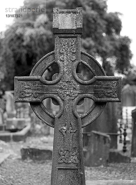 Grabstein mit keltischem Kreuz aus Stein  Friedhof an der St. Mary's Cathedral; King's Island  Limerick  Grafschaft Limerick  Irland