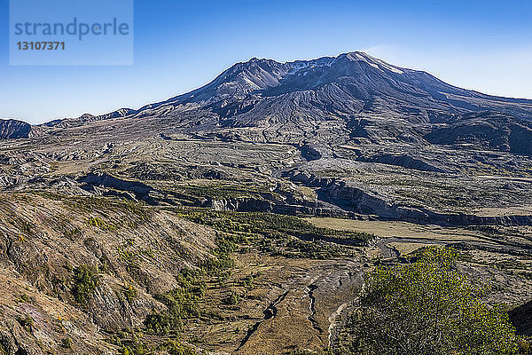 Die 5-1/2 Meilen entfernte Caldera und die daraus resultierende Erosion an der Mündung der Caldera des Vulkans Mount St. Helens. Es ist 37 Jahre her  dass der Berg ausgebrochen ist  und das Gebiet beginnt sich nun mit Bäumen  Büschen und Gräsern zu erholen. Vulkanischer Staub weht vom Rand des Vulkans weg; Washington  Vereinigte Staaten von Amerika