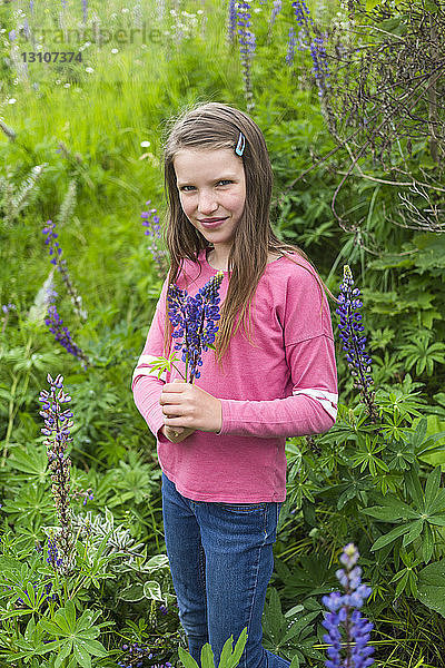 Porträt eines Mädchens auf einer Wiese mit Wildblumen; Salmon Arm  British Columbia  Kanada