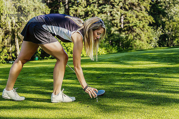 Eine Golferin legt einen Golfball auf ein Tee und macht sich mit ihrem Driver bereit zum Abschlag; Edmonton  Alberta  Kanada