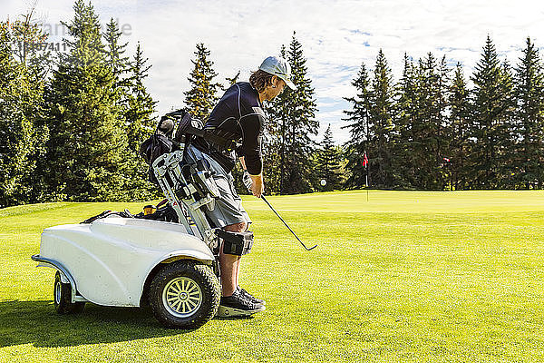 Ein körperlich behinderter Golfer  der einen Ball auf das Grün chippt und einen speziellen motorisierten Hydraulikrollstuhl zur Golfunterstützung benutzt; Edmonton  Alberta  Kanada