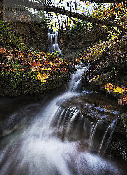 Webwood Falls; Flesherton  Ontario  Kanada