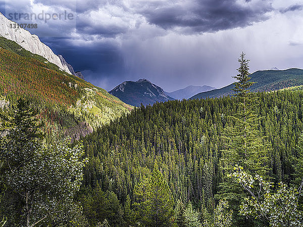 Sturmwolken über den kanadischen Rocky Mountains in der Ferne  mit einem Wald im Tal im Vordergrund; Alberta  Kanada