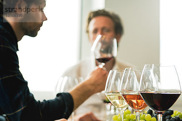 Männliche Freunde trinken Wein im Verkostungsraum