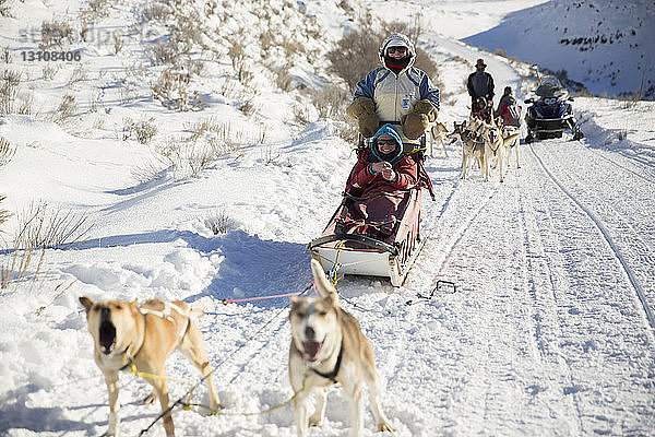 Familienhundschlittenfahrt auf verschneitem Feld