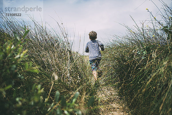 Rückansicht eines Jungen  der auf einem Feld inmitten von Pflanzen im A_o Nuevo State Park läuft
