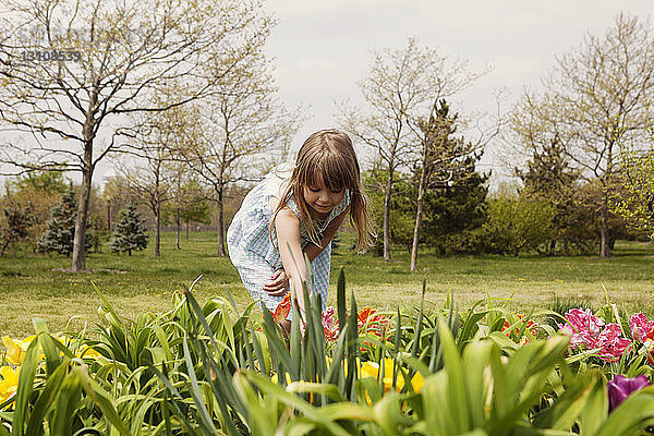 Süßes Mädchen pflückt frische Blumen vom Feld