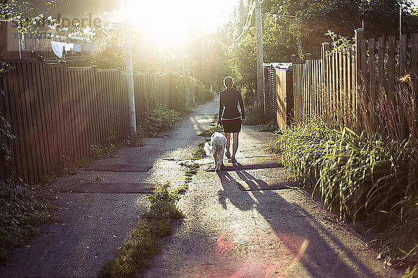 Rückansicht einer Frau  die mit Hund auf einem Fußweg geht