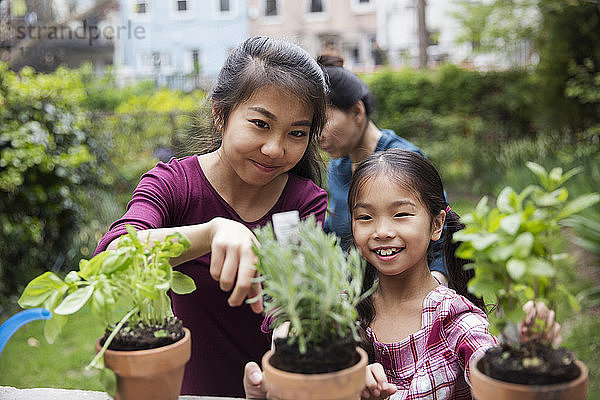 Schwestern bei der Gartenarbeit mit Topfpflanzen im Hof