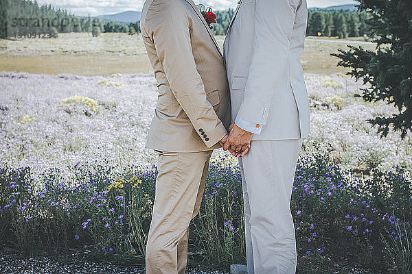 Mittelteil eines homosexuellen Paares  das im Stehen auf dem Spielfeld Händchen hält