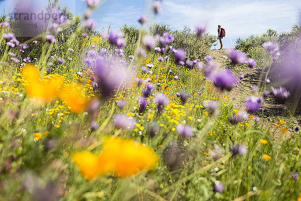 Entfernte Ansicht einer Frau auf einem Feld mit Blumen im Vordergrund