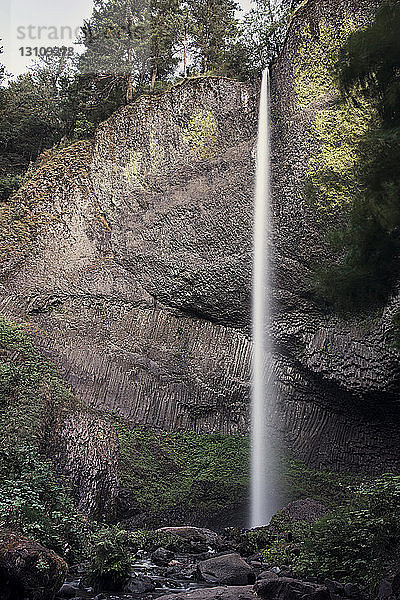 Tiefwinkelansicht des Wasserfalls im Wald
