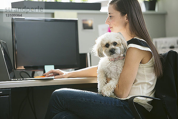 Porträt eines Hundes  der von einer Geschäftsfrau mit Laptop-Computer am Schreibtisch im Büro getragen wird