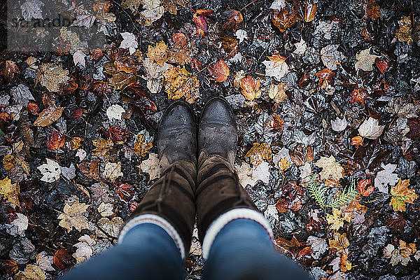 Niedrige Sektion einer Frau  die im Herbst auf umgefallenen Ahornblättern steht und Stiefel trägt