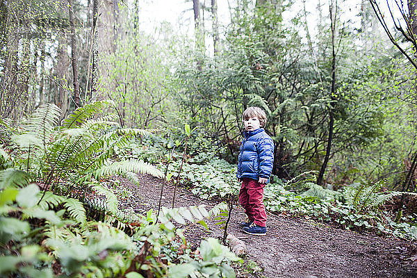 Porträt eines Jungen  der auf einem Feldweg inmitten von Bäumen im Wald steht