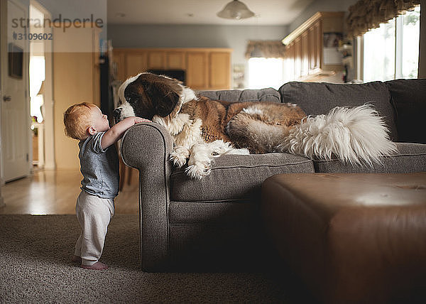 Seitenansicht eines kleinen Jungen  der mit einem Hund spielt  der zu Hause auf dem Sofa liegt