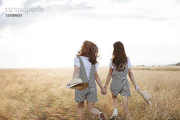 Rückansicht der glücklichen Zwillingsschwestern  die sich an den Händen halten  während sie bei Sonnenuntergang auf einem Grasfeld gegen den Himmel gehen