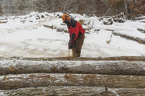 Männlicher Holzfäller schlägt im Winter Stämme im Wald