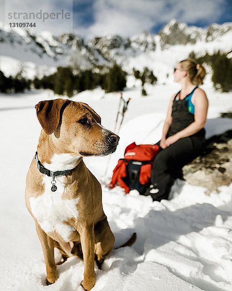 Wanderin und Hund sitzen auf verschneitem Feld vor Bergen