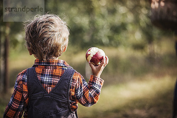 Rückansicht eines Jungen  der einen gegessenen Apfel hält