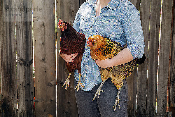 Mitte einer Frau  die Hühner gegen einen Holzzaun hält