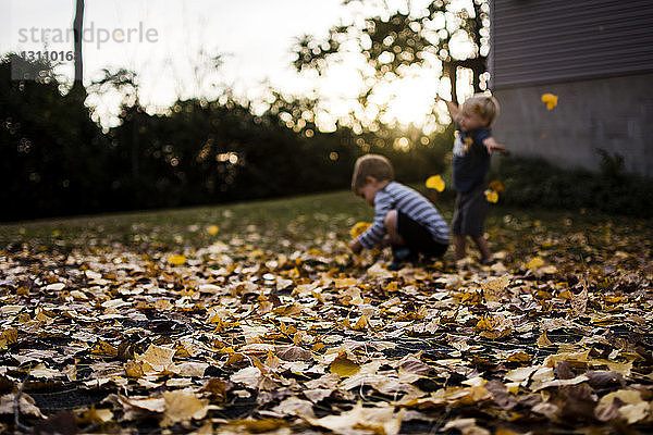 Glückliche Brüder spielen im Herbst im Garten mit Ahornblättern