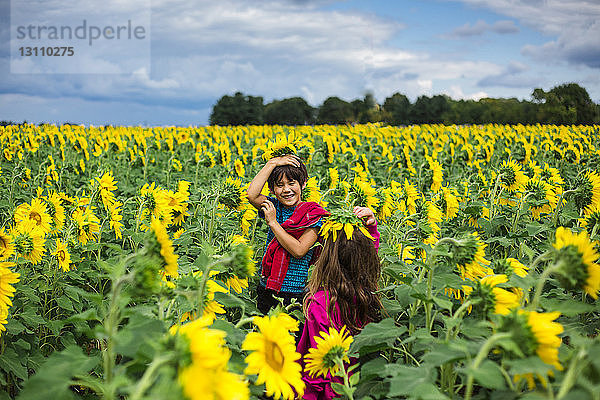 Geschwister spielen mit Sonnenblumen  während sie auf dem Bauernhof vor bewölktem Himmel stehen