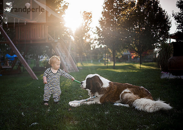 Kleiner Junge spielt mit Hund auf dem Spielplatz