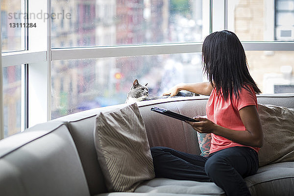 Frau spielt mit Katze  während sie zu Hause einen Tablet-Computer auf dem Sofa gegen das Fenster hält