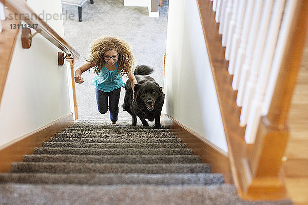 Hochwinkelaufnahme eines Mädchens mit Hund beim Treppensteigen zu Hause