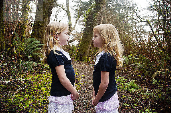 Zwillingsmädchen stehen auf dem Feld vor Bäumen