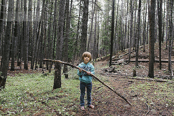 Porträt eines Mädchens  das einen Ast hält  während es auf einem Feld im Wald steht