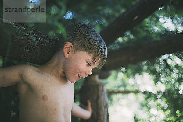 Verspielter Junge klettert auf Baum