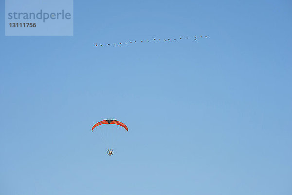 Tiefwinkelansicht eines jungen Mannes beim Motorgleitschirmfliegen vor klarem blauen Himmel
