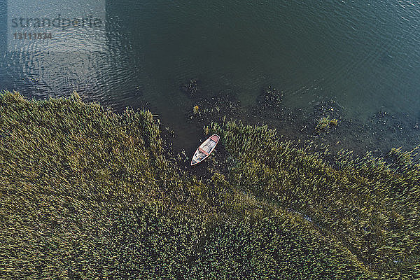 Hochwinkelansicht eines am Seeufer im Wald vertäuten Bootes