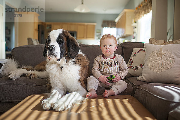 Porträt eines süßen kleinen Jungen  der mit seinem Hund auf der Couch im heimischen Wohnzimmer sitzt