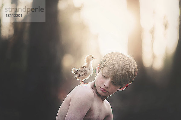 Seitenansicht eines Jungen ohne Hemd mit einem Jungvogel auf der Schulter  der bei Sonnenuntergang am Himmel sitzt