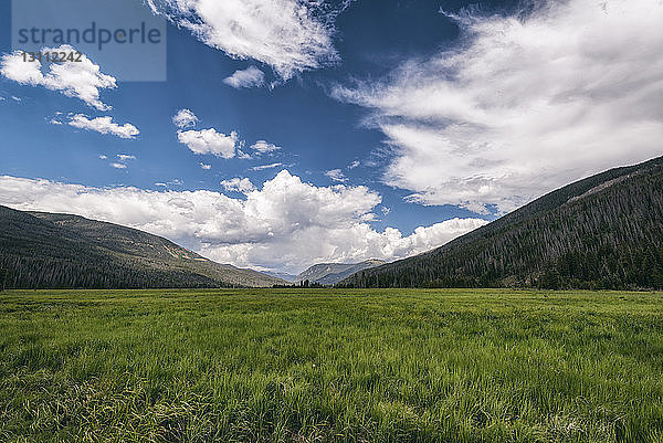 Grüne Landschaft vor dem Himmel im Rocky Mountains National Park