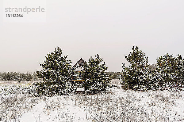 Szenenansicht von Bäumen in schneebedeckter Landschaft vor klarem Himmel