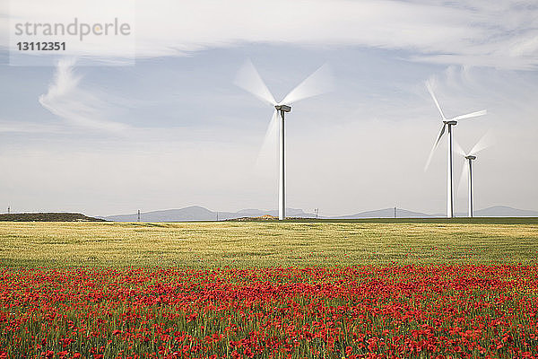 Windturbinen auf einem Feld mit Mohnblumen im Vordergrund