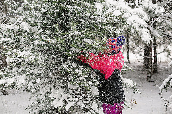 Seitenansicht eines Mädchens  das mit einem schneebedeckten Baum spielt