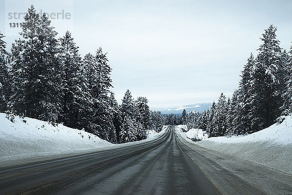 Leere Straße inmitten schneebedeckter Bäume vor wolkigem Himmel