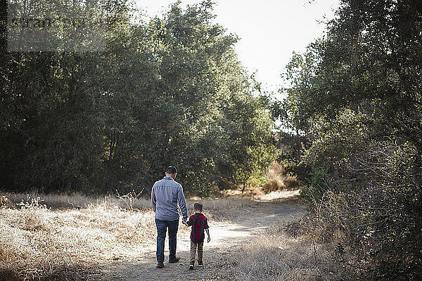 Rückansicht eines Vaters und eines Sohnes  die sich beim Gehen auf einem Grasfeld an den Händen halten