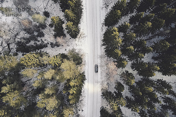 Draufsicht auf das Auto auf der Straße inmitten von Nadelbäumen im Wald im Winter